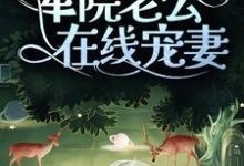 求七零：揣崽后，军院老公在线宠妻小说的全文免费阅读链接-侠客文学