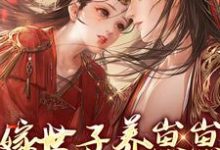 嫁世子养崽崽的穿越日常小说阅读，嫁世子养崽崽的穿越日常完结版-侠客文学