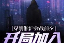 穿到淞沪会战前夕，开局加入黑风寨杨成，穿到淞沪会战前夕，开局加入黑风寨章节在线阅读-侠客文学