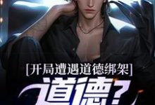 林北张三小说在线章节免费阅读(开局遭遇道德绑架,道德?我没有!无弹窗无删减)-侠客文学