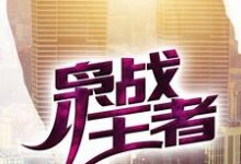 枭战王者主角吴年柳香小说完结版章节在线阅读-侠客文学