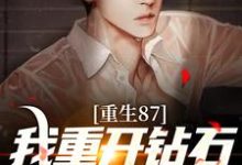 重生87：我重开钻石王老五副本陈兴邦苏静，重生87：我重开钻石王老五副本最新章节-侠客文学