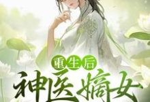 小说《重生后，神医嫡女杀疯了》在线章节阅读-侠客文学