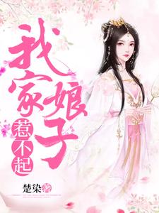 已完结小说《我家娘子惹不起》在线章节阅读