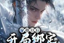 穿越以后,开局绑定反派系统小说,穿越以后,开局绑定反派系统免费阅读-侠客文学