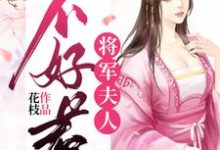 秋漫徐止然的完整故事在哪里?读将军夫人不好惹小说-侠客文学