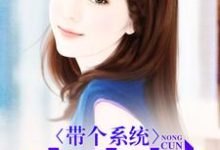 《带个系统去农村》小说主角苏灿虞佳琪罗拉纪落然章节章节免费在线阅读-侠客文学