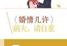 婚情几许：前夫，请自重陆瑶邵允琛，婚情几许：前夫，请自重章节在线阅读-侠客文学