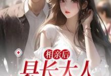 主角叫骊昊林晓的小说在哪阅读-侠客文学