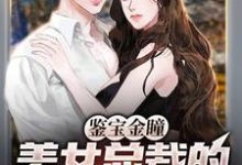 小说《鉴宝金瞳:美女总裁的贴身鉴宝师》在线章节阅读-侠客文学