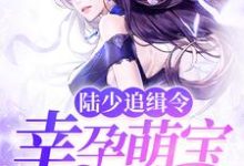 小说《陆少追缉令:幸孕萌宝亿万妻》章节阅读-侠客文学