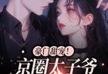 豪门甜宠！京圈太子爷是恋爱脑小说全文哪里可以免费看？-侠客文学