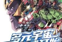 多元宇宙从漫威开始林枫小说在线章节免费阅读-侠客文学