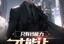 只有钞能力，才能让长舌妇闭嘴小说，只有钞能力，才能让长舌妇闭嘴苏阳-侠客文学