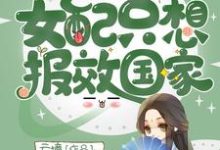 主角章序陆屿小说完结版在线阅读，快穿之女配只想报效国家免费看-侠客文学