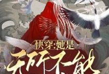 《快穿：她是无所不能的神》小说章节列表免费试读，子清小说在线阅读-侠客文学