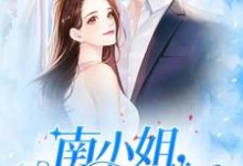 哪里可以免费读到南鱼陆少轩的完整故事？寻找南小姐，复婚请签字-侠客文学