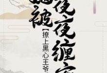 撩上黑心王爷后，她被夜夜缠宠裴汐颜祁宸珞裴洳雪，撩上黑心王爷后，她被夜夜缠宠在线无弹窗阅读-侠客文学