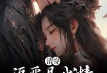 婉卿胤禛是哪本书的主角?清穿:福晋是戏精,四爷日夜宠爱免费读-侠客文学