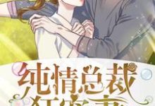 纯情总裁狂宠妻小说完结版章节免费阅读-侠客文学