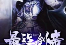 已完结小说《最强剑帝》章节免费阅读-侠客文学