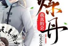 陈旺荣秋紫霜小说叫什么（我真的会炼丹免费阅读）-侠客文学