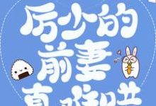 主角江阮阮厉薄深小说完结版在线阅读，豪门弃妇：厉少的前妻真难哄免费看-侠客文学