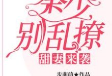 甜妻来袭：秦少，别乱撩方菲秦亦北小说免费阅读-侠客文学