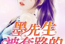 主角叫韩若琳墨冷轩墨建刘月娥的小说在哪阅读-侠客文学