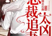 尹清欢楚淮戚言商为主角的小说总裁追妻太凶猛在线阅读-侠客文学