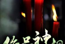 绝品神相（王宇苏如月）在线免费阅读-侠客文学