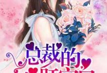 哪里能找到总裁的心肝宝贝小说的最新更新和免费章节？-侠客文学