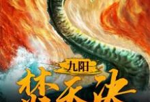 九阳焚天决小说，九阳焚天决 萧凌北清雪-侠客文学