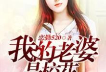 小说《我的老婆是校花》章节免费阅读-侠客文学