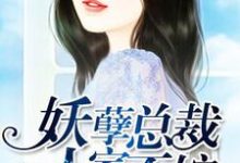 许静好顾岁安是哪本书的主角?妖孽总裁,人家不嫁免费读-侠客文学