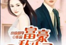 小说《富豪私生子》在线章节阅读-侠客文学