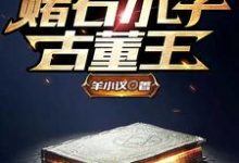 《赌石小子古董王》小说章节在线试读，《赌石小子古董王》最新章节目录-侠客文学