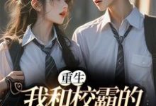 重生：我和校霸的甜甜恋爱沈眠江衿风小说免费阅读-侠客文学