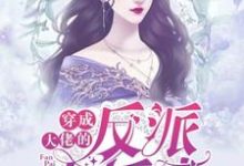 《穿成大佬的反派小娇妻》小说主角沈从容薄翊苏红果章节章节免费在线阅读-侠客文学