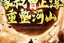 家叔曹正淳，重整河山（曹长生）在线免费阅读-侠客文学