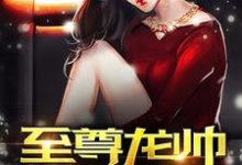 求至尊龙帅小说的全文免费阅读链接-侠客文学