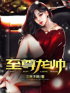 至尊龙帅小说阅读，至尊龙帅完结版