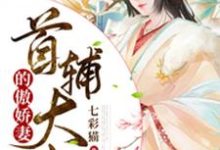 萧七顾楚生华琼刘荣的完整故事在哪里？读首辅大人的傲娇妻小说-侠客文学