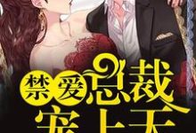 禁爱总裁宠上天免费阅读，禁爱总裁宠上天陌西染周延琛桃文白井城-侠客文学