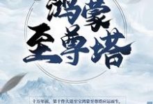 楚霄柳寒烟的小说在哪里看？免费在线阅读鸿蒙至尊塔-侠客文学