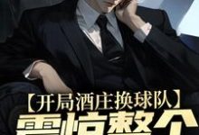 杨力大姚为主角的小说叫什么?免费看开局酒庄换球队,震惊整个NBA-侠客文学