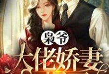 求温瓷顾沉枭小说免费资源-侠客文学