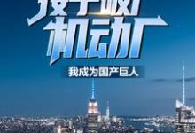 接手破产机动厂:我成为国产巨人小说无弹窗阅读的网站推荐-侠客文学