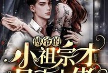 苏沅沅傅言珩苏德远浦盼瑶是哪本书的主角？寻找傅爷的小祖宗才是真大佬免费阅读-侠客文学