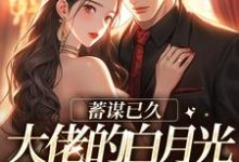 小说《蓄谋已久，大佬的白月光回归了》章节免费阅读-侠客文学